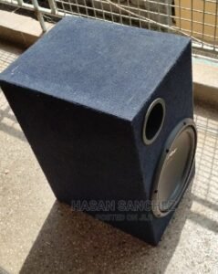 Pioneer 1600w Double Coil Fitted in Cabinet