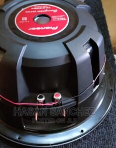 Naked Pioneer 312D4 1600w